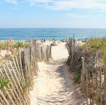 beach entrance on the dunes
