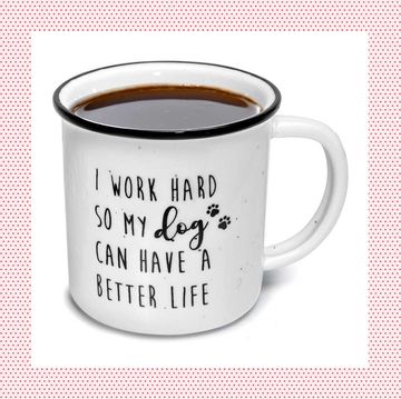 dog mom gifts 'i work hard so that my dog can have a better life' mug and 'where i go trouble follows' and 'trouble' matching owner sweatshirt and dog bandana set