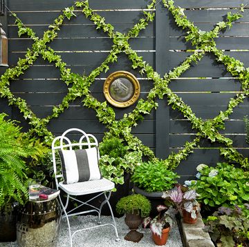 small garden ideas — lattice